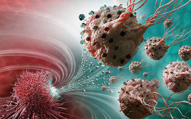 Ung thư không thể truyền nhiễm, nhưng 5 loại virus này vừa dễ lây lại còn gây ung thư: Riêng phụ nữ hay mắc phải loại số 3  - Ảnh 2.