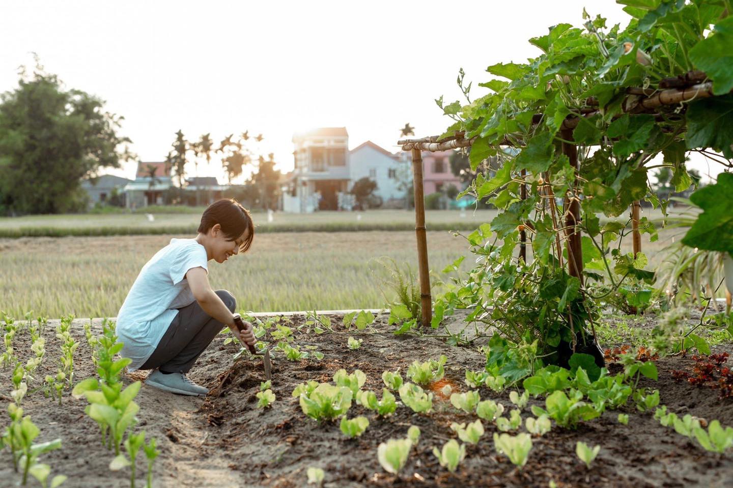 Khi có mảnh đất ở quê, đừng bỏ lỡ cơ hội xây ngôi nhà view cánh đồng lúa đắt giá như thế này - Ảnh 8.