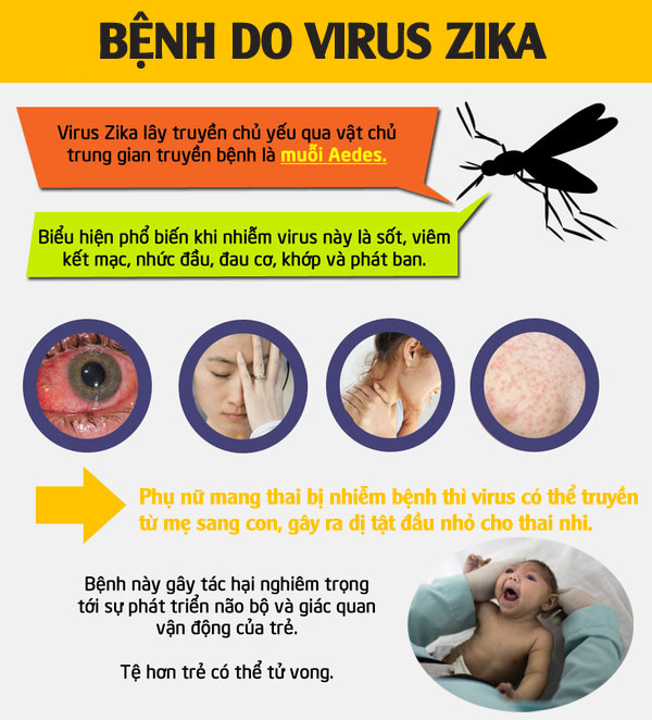 Phát hiện 1 nam thanh niên ở Đà Nẵng mắc virus Zika: Bệnh do virus Zika là gì và nguy hiểm như thế nào? - Ảnh 4.