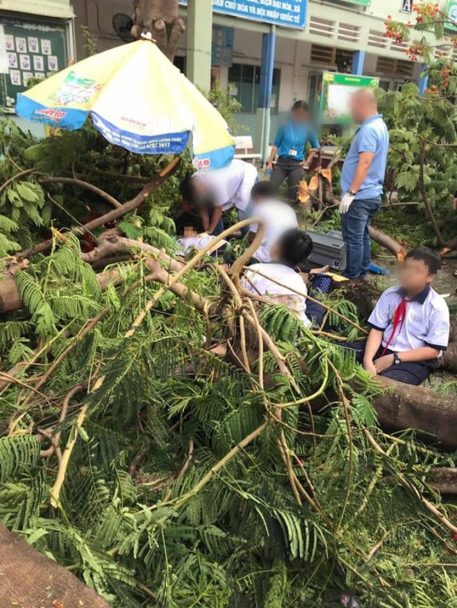 Thi thể học sinh tử vong do cây phượng bật gốc đè trúng đã được bàn giao cho gia đình - Ảnh 2. - Ảnh 2.