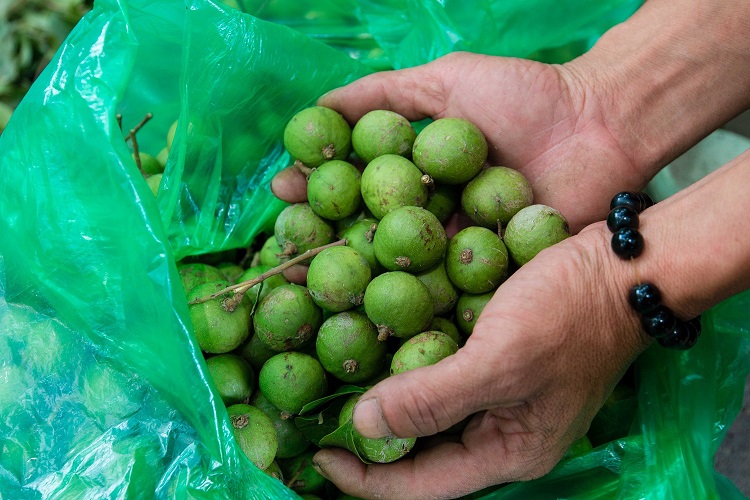 Sấu non đầu mùa giá 65 ngàn/kg, khách muốn mua nhiều tiểu thương cũng lắc đầu vì &quot;khan&quot; hàng  - Ảnh 4.