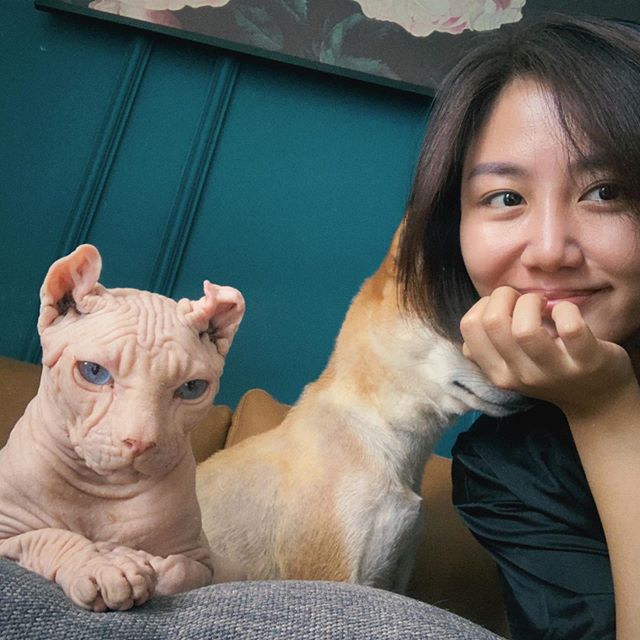 Văn Mai Hương th&iacute;ch th&uacute; chụp h&igrave;nh c&ugrave;ng th&uacute; cưng.