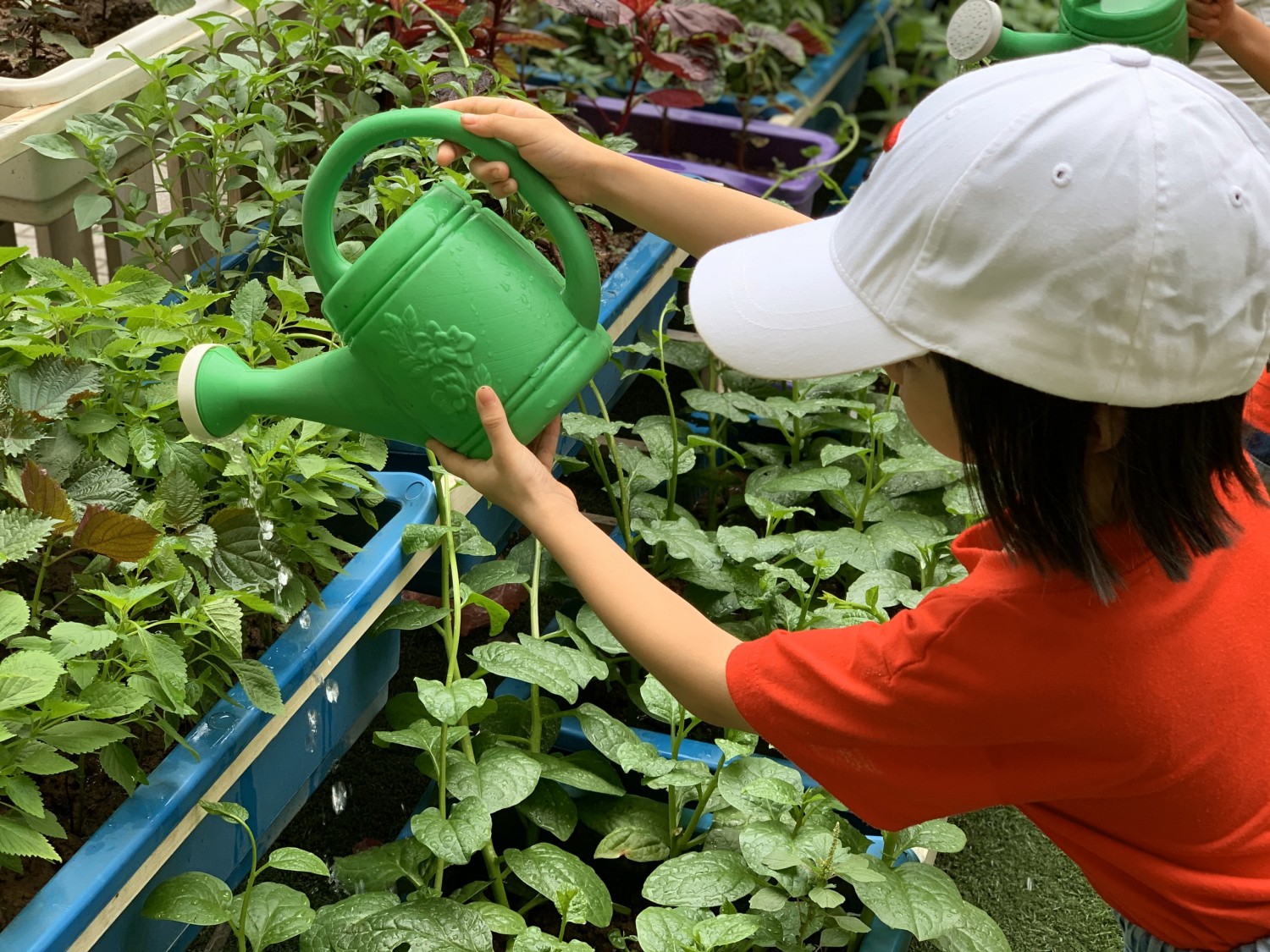 Dạy kỹ năng sống cho con: Bố mẹ dù bận rộn đến đâu cũng đừng bao giờ lơ là kẻo lớn lên con phải chịu thua thiệt với bạn bè - Ảnh 2.