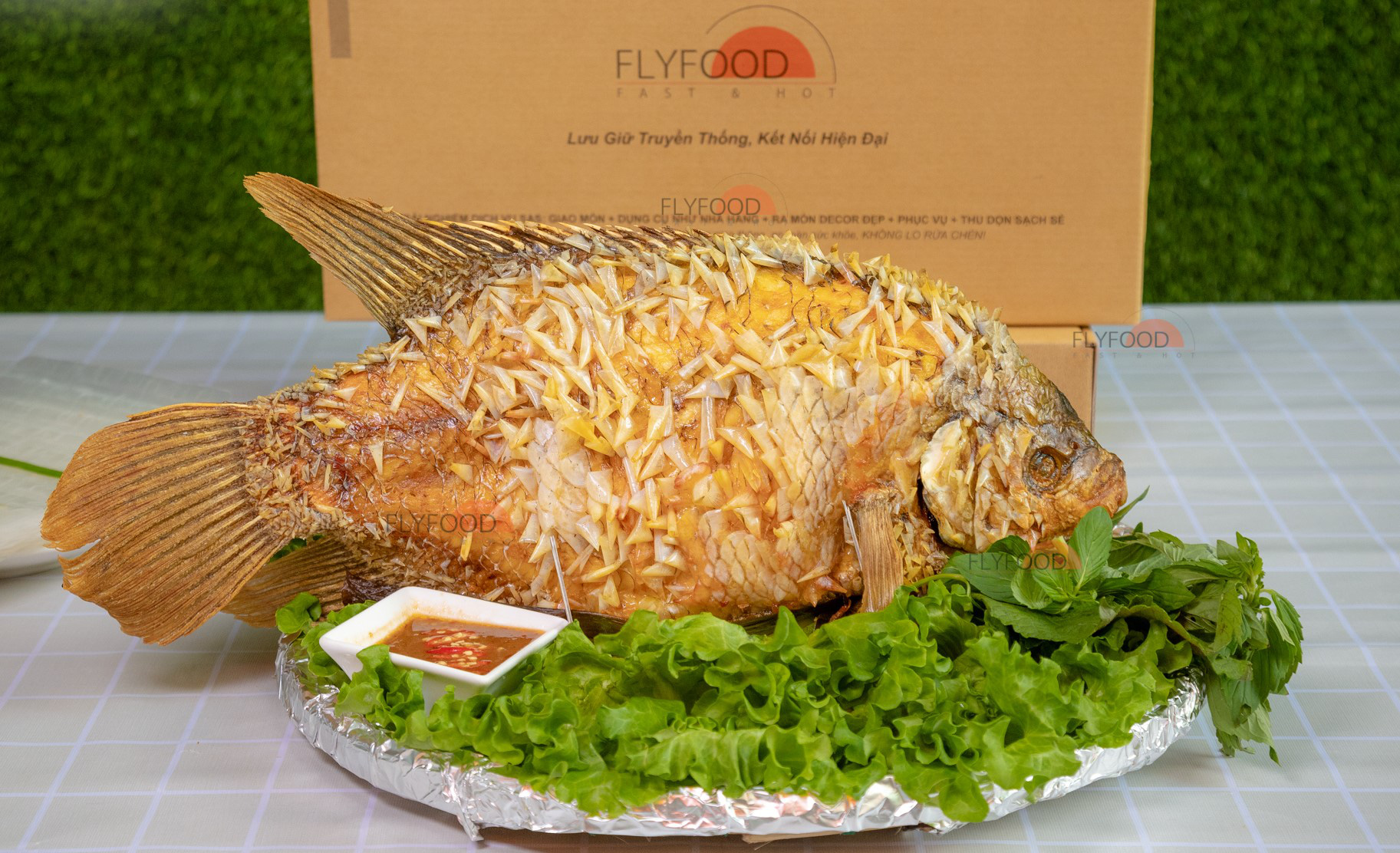 Cá tai tượng bông xù- sự độc đáo riêng biệt của Flyfood - Ảnh 1.
