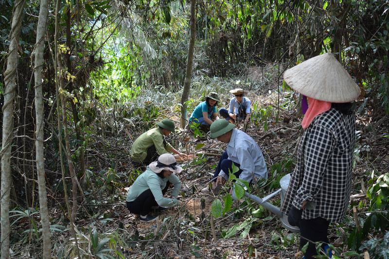 Cư dân mạng đua nhau tham gia trào lưu mới “Đăng ảnh góp rừng” phục hồi 50.000 m2 rừng nghèo kiệt! - Ảnh 3.