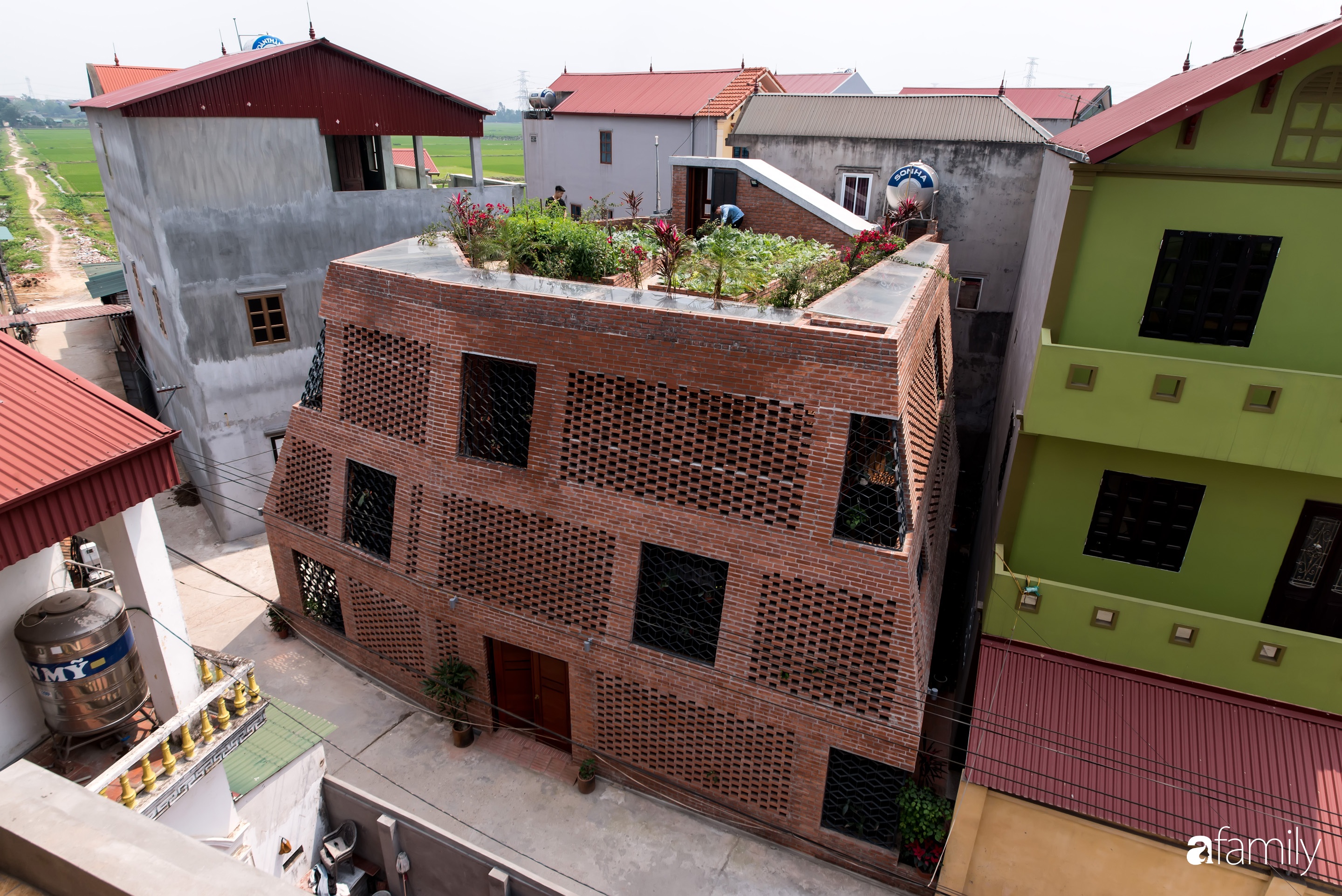 Ngôi nhà với hai lớp tường bằng gạch tạo điểm nhấn bằng những mảng xanh rau quả ở ngoại thành Hà Nội - Ảnh 1.