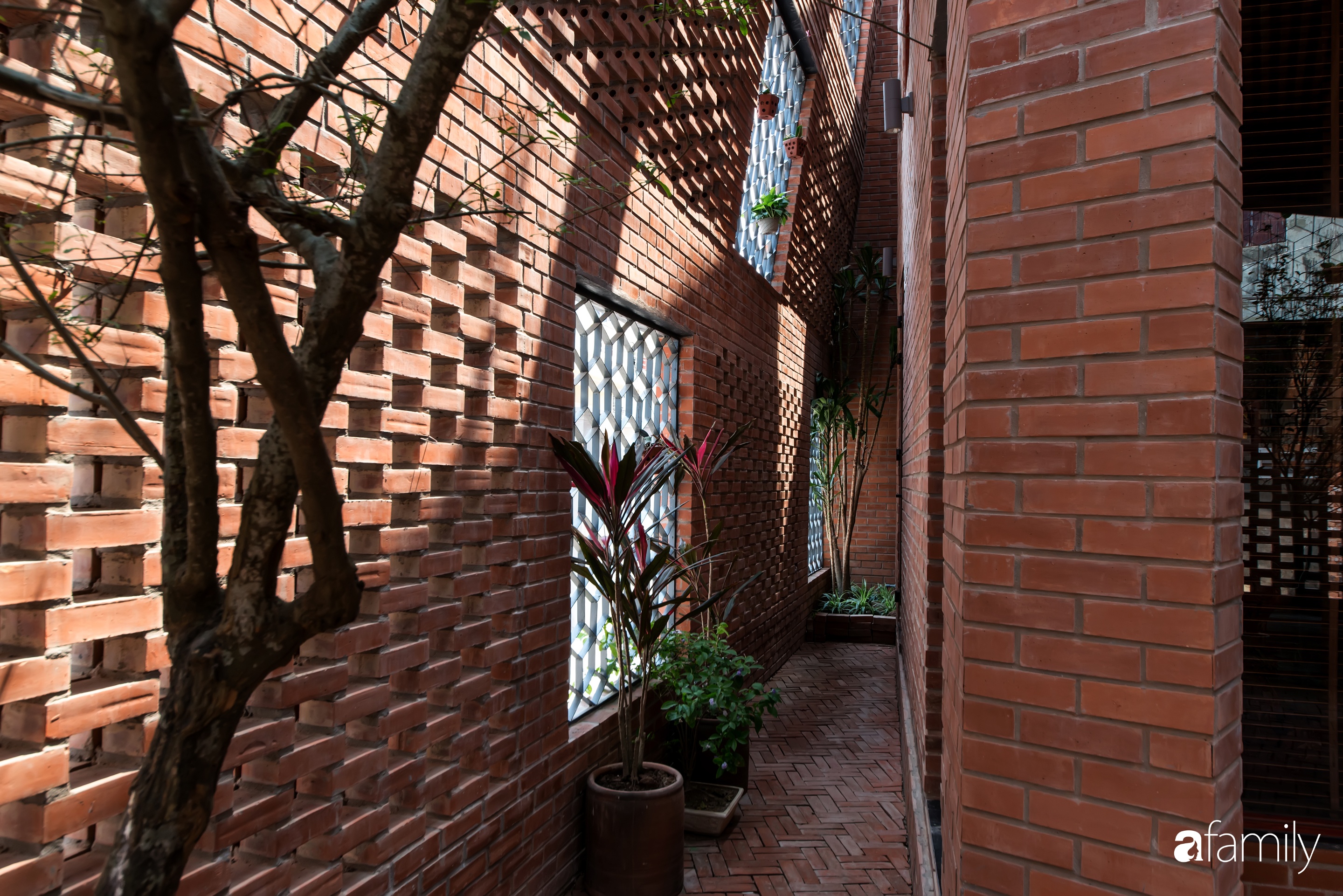 Ngôi nhà với hai lớp tường bằng gạch tạo điểm nhấn bằng những mảng xanh rau quả ở ngoại thành Hà Nội - Ảnh 5.