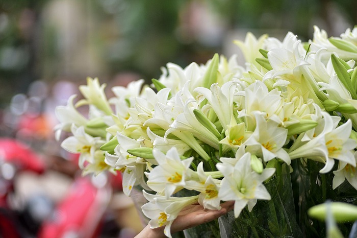 Gợi ý những loại hoa nên tặng trong Ngày của Mẹ để vẹn tròn ý nghĩa - Ảnh 6.