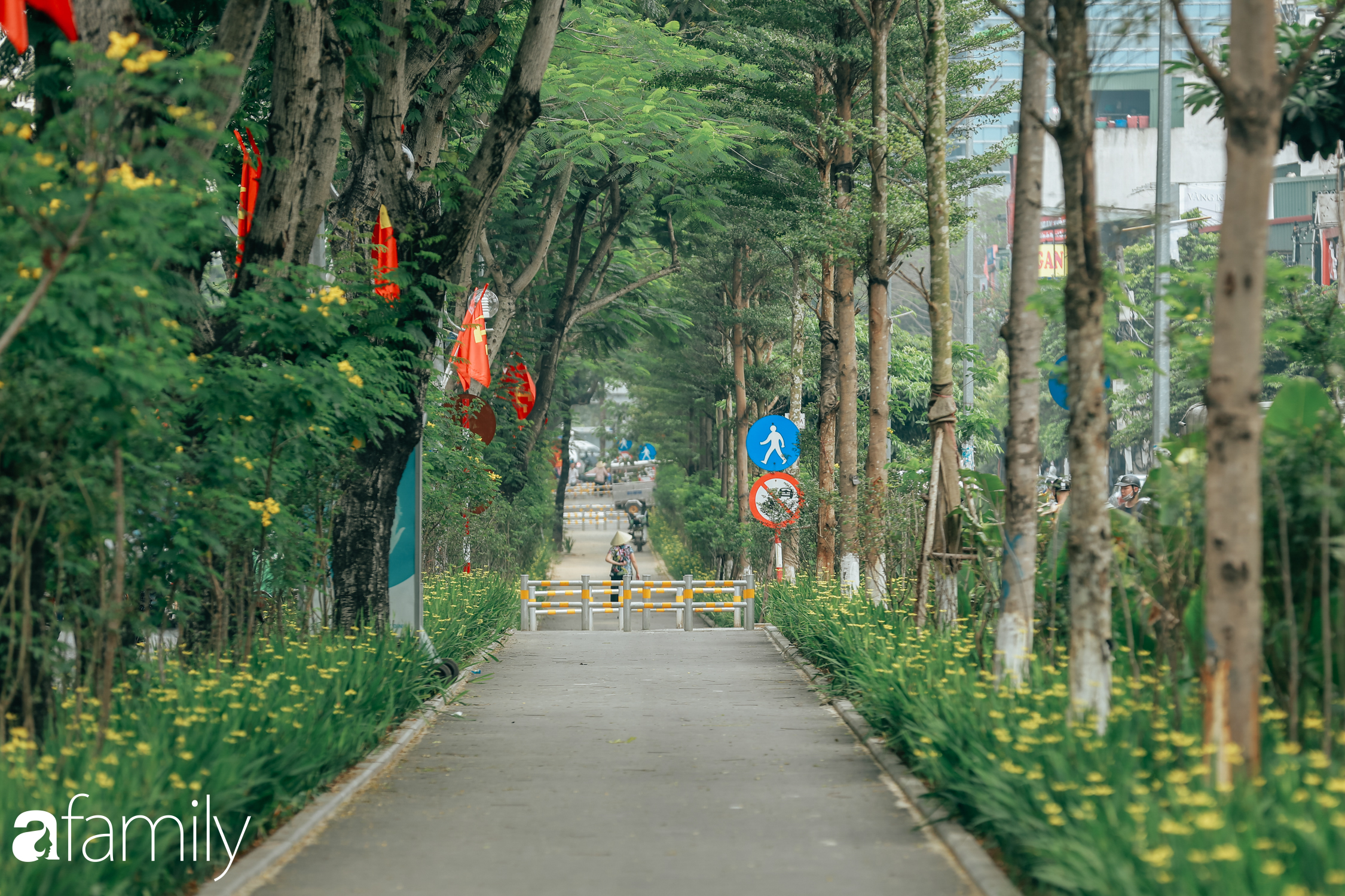 Hà Nội xuất hiện con đường đi bộ tuyệt đẹp ít người biết đến, mộng mơ chẳng kém gì phố Kim Mã huyền thoại - Ảnh 1.