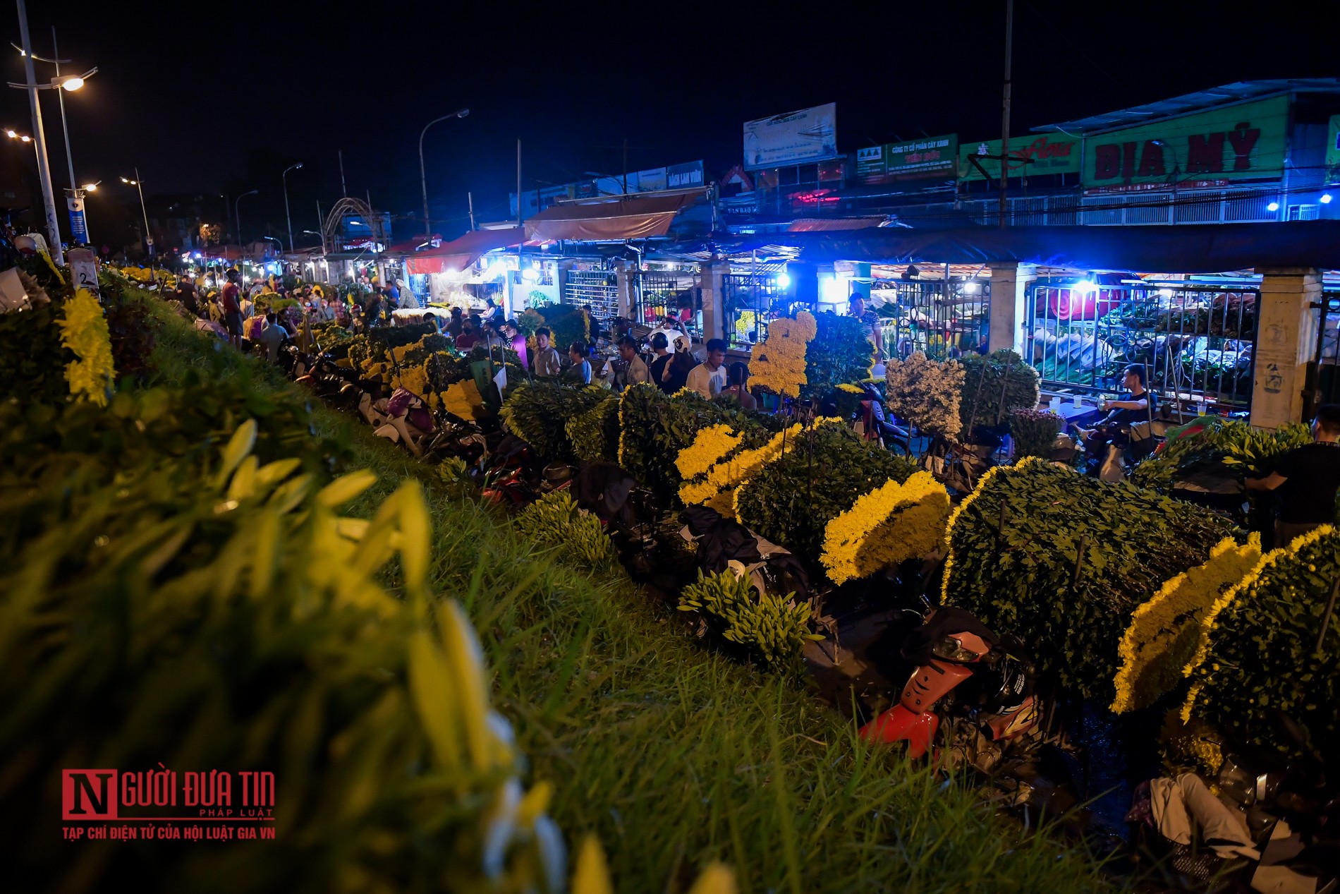 Hà Nội: Chợ hoa đầu mối nhộn nhịp trở lại - Ảnh 2.