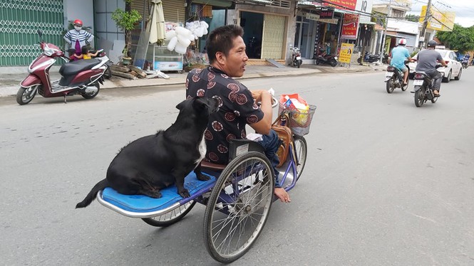 Chú chó ngậm vé số theo chủ tật nguyền mưu sinh ở Phú Quốc ‘đốn tim’ dân mạng - Ảnh 3.