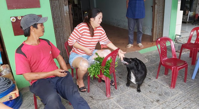 Chú chó ngậm vé số theo chủ tật nguyền mưu sinh ở Phú Quốc ‘đốn tim’ dân mạng - Ảnh 2.