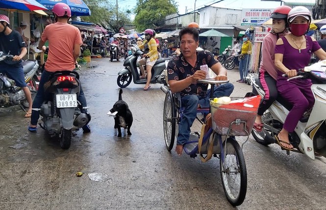 Chú chó ngậm vé số theo chủ tật nguyền mưu sinh ở Phú Quốc ‘đốn tim’ dân mạng - Ảnh 1.