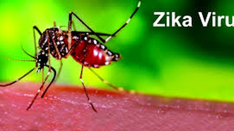 100% gia đình cần được phun hóa chất phòng virus Zika - Ảnh 1.