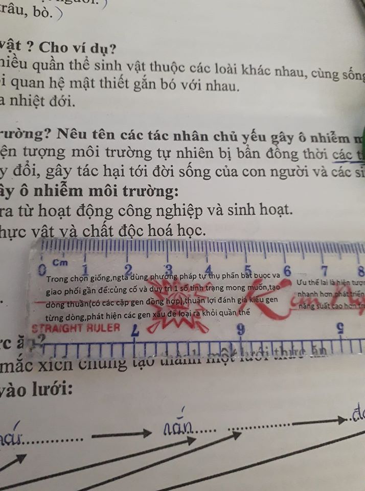 Đỉnh cao học trò: Quay cóp tinh vi thế này  - Ảnh 1.