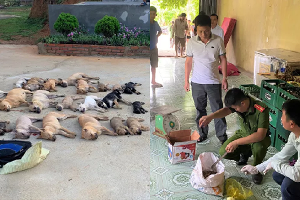 Hé lộ loại chất cực độc cặp tình nhân dùng để trộm gần nửa tấn chó ở Thanh Hóa - Ảnh 1.