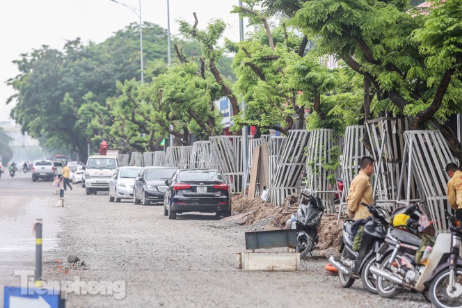 Lo ngại mất trộm, Hà Nội mặc 'áo giáp sắt' cho hàng sưa đỏ - Ảnh 3.