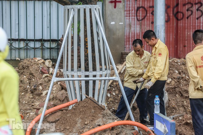 Lo ngại mất trộm, Hà Nội mặc 'áo giáp sắt' cho hàng sưa đỏ - Ảnh 8.