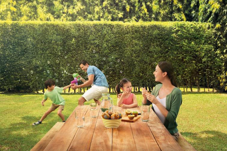 VinMart tổ chức &ldquo;Lễ hội T&aacute;o v&agrave; Kiwi nhập khẩu từ New Zealand&rdquo; - Ảnh 3.