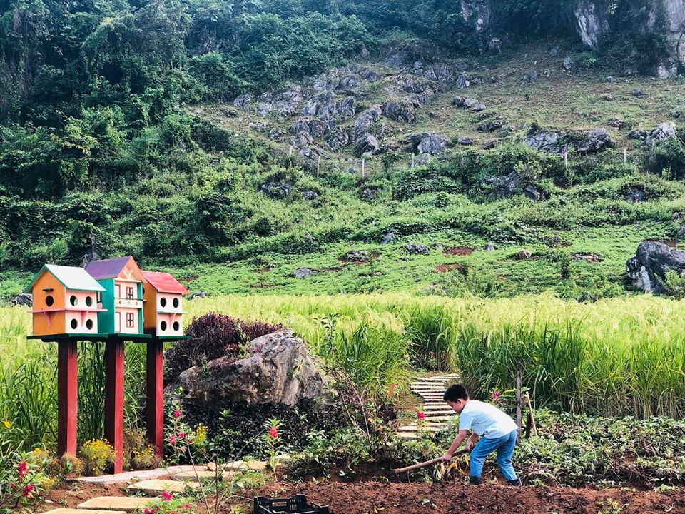 Quá áp lực và mệt mỏi với cuộc sống ở Hà Nội, vợ chồng trẻ quyết bỏ công việc ổn định, mang 200 triệu lên bản Áng Mộc Châu mua đất, xây nhà, làm vườn sống an yên - Ảnh 27.