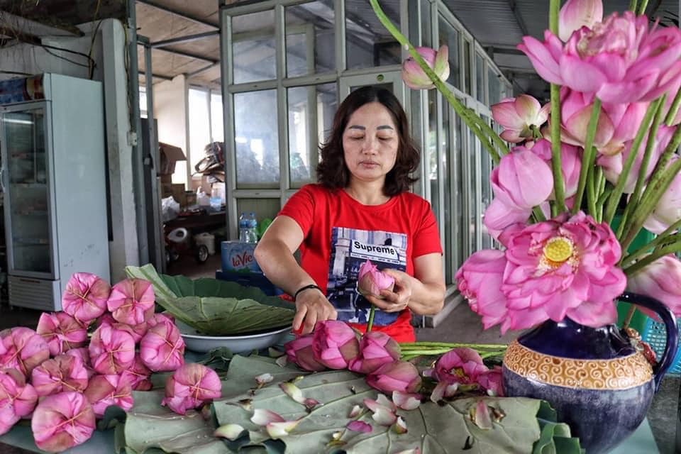 Mùa sen về, trà ướp bông sen tươi 40 ngàn/bông đắt khách, người làng sen Tây Hồ ngày bán gần 1000 bông cho khách mang đi biếu - Ảnh 10.