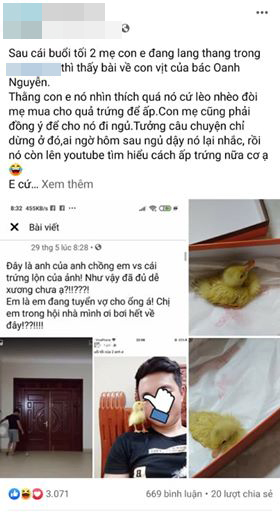 Thấy mẹ xem facebook có chú đẹp trai ấp trứng thành công, con trai cũng nằng nặc đòi học theo và cái kết 