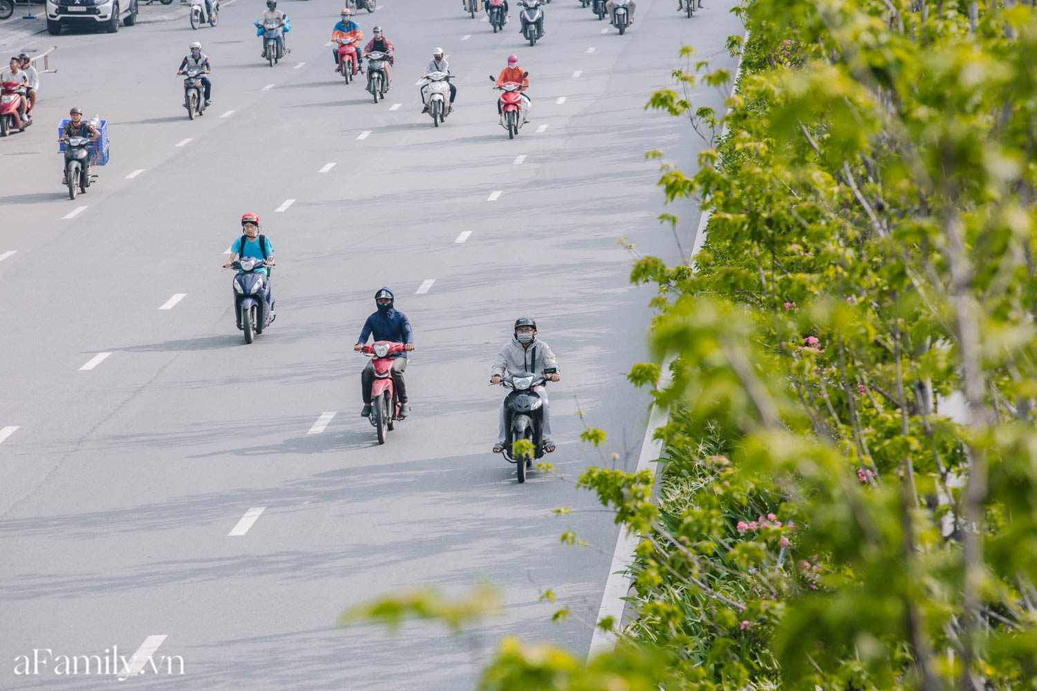 Sau thời gian &quot;đánh vật&quot; với cái nắng như đổ lửa, con đường lá phong đầu tiên ở Hà Nội trở nên xanh tốt khiến nhiều người bất ngờ - Ảnh 11.