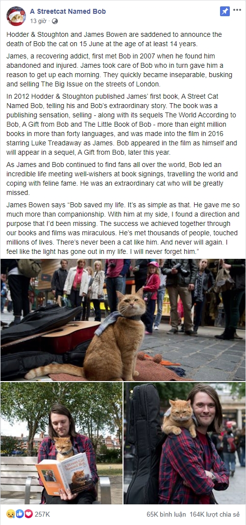 Khán giả khắp thế giới tiếc thương Bob - chú mèo đường phố nổi tiếng từng lên sách và phim, được gặp gỡ cả công nương Kate Middleton đã qua đời ở tuổi 14 - Ảnh 5.
