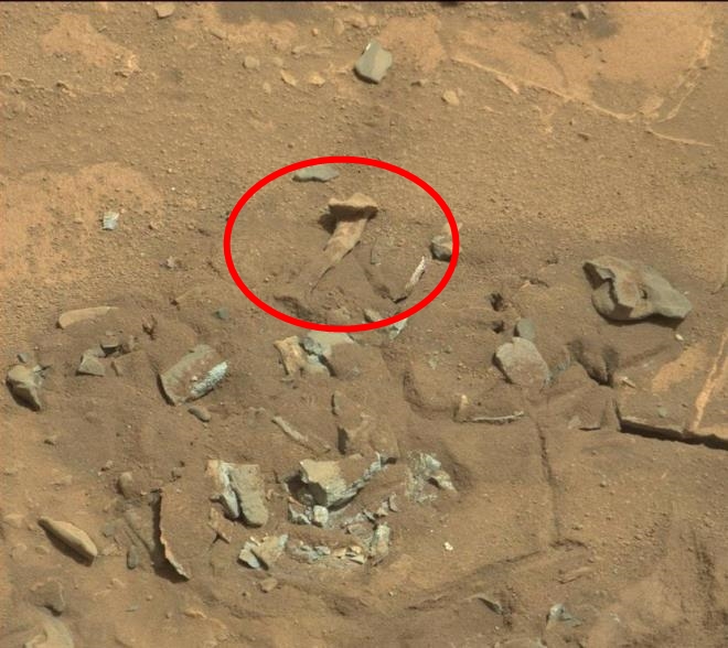 Giải mã bí ẩn sau bức ảnh chụp vật thể giống xương người trên bề mặt Sao Hỏa của NASA - Ảnh 1.