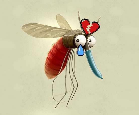 Tại sao muỗi vằn Aedes aegypti ngày càng thích hút máu người?
