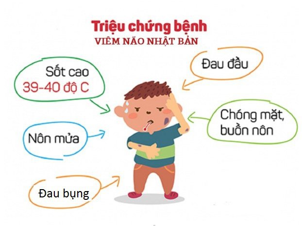 Mùa hè, bệnh viêm não Nhật Bản tăng cao, cha mẹ không làm việc này thì con có nguy cơ mắc bệnh và biến chứng nặng cao hơn - Ảnh 2.