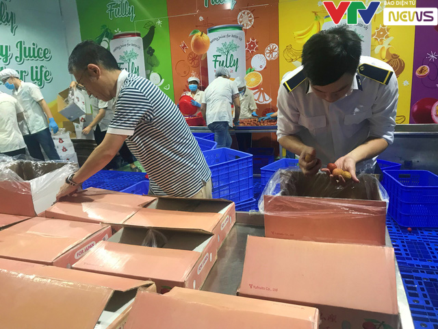 Để được xuất ngoại, trái vải Việt phải trải qua các công đoạn gì? - Ảnh 11. Để được xuất ngoại, trái vải Việt phải trải qua các công đoạn gì? - Ảnh 11.