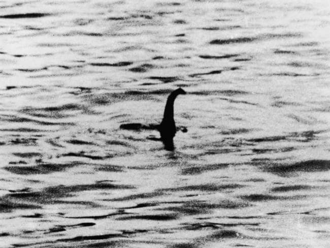 Xem ảnh chụp trong chuyến đi năm ngoái, người đàn ông phát hiện sinh vật lạ nên đăng đàn hỏi, MXH &quot;dậy sóng&quot; tin rằng đó là quái vật hồ Loch Ness - Ảnh 2.