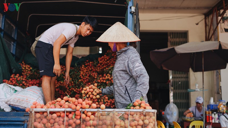 Vải thiều Lục Ngạn được mùa, được giá - Ảnh 3.