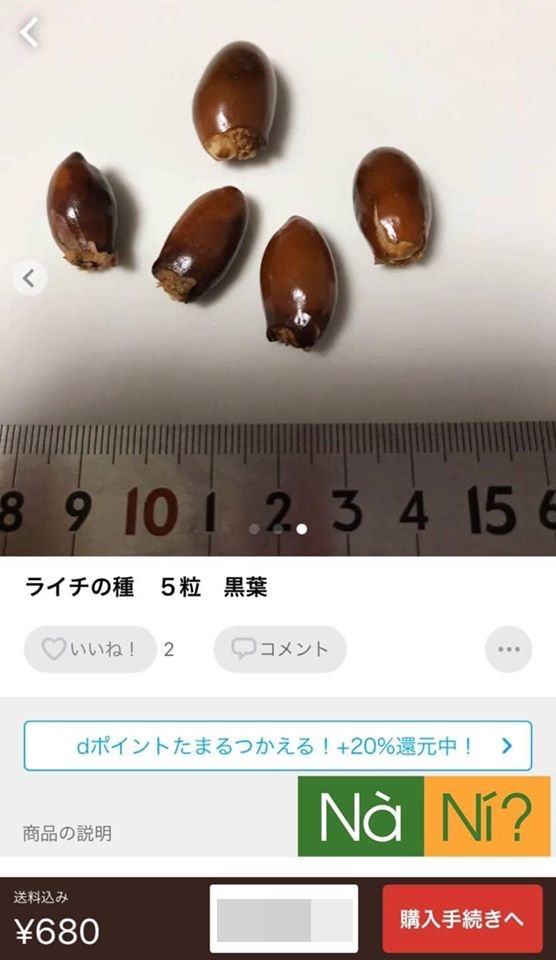  Dân tình ngạc nhiên vì "hạt vải" được rao bán lên tới 140.000 đồng tại shop online Nhật, lý do không phải ai cũng biết? - ảnh 1