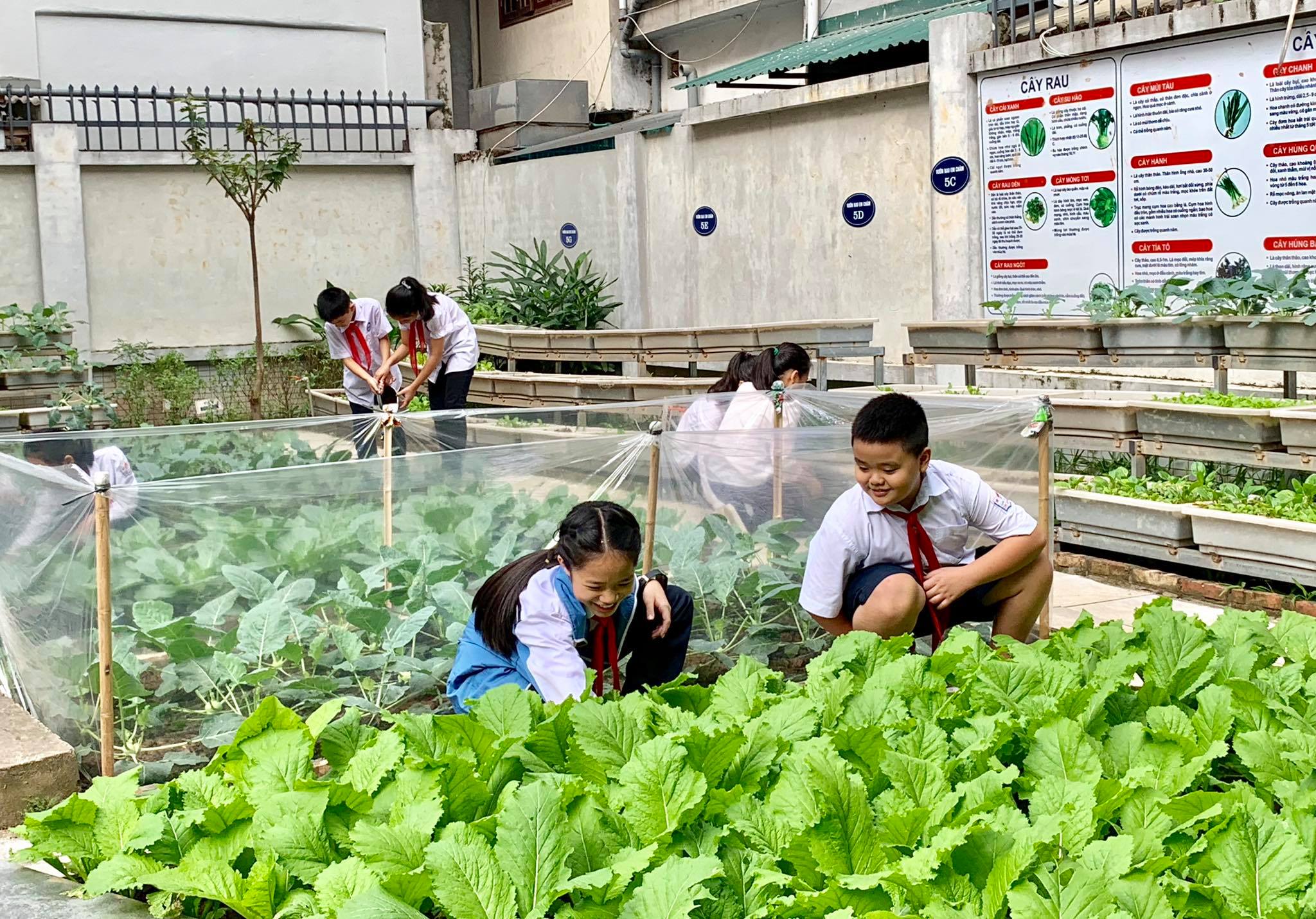 Điểm danh các trường tiểu học công lập nổi tiếng trên địa bàn Hà Nội, nhiều phụ huynh sẵn sàng chuyển nhà để có thể cho con theo học tại trường - Ảnh 6.