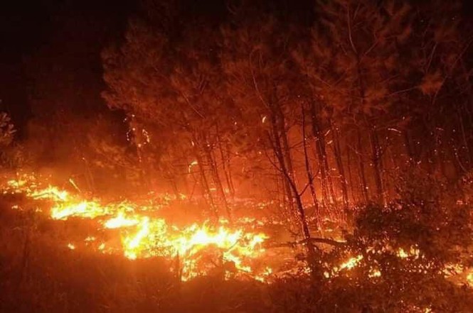 Hơn 1000 người đang căng mình dập đám cháy rừng lan rộng ở Nghệ An - Ảnh 1.