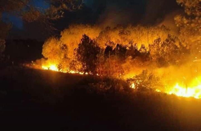Hơn 1000 người đang căng mình dập đám cháy rừng lan rộng ở Nghệ An - Ảnh 2.