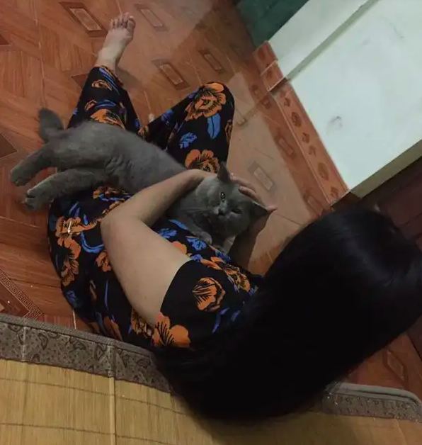 Khi bố mẹ nói "Nuôi mèo bẩn nhà, dừng có xách con nào về đây, tao vứt hết"… và cái kết "như một trò đùa" - Ảnh 9. Khi bố mẹ nói "Nuôi mèo bẩn nhà, dừng có xách con nào về đây, tao vứt hết"… và cái kết "như một trò đùa" - Ảnh 9.