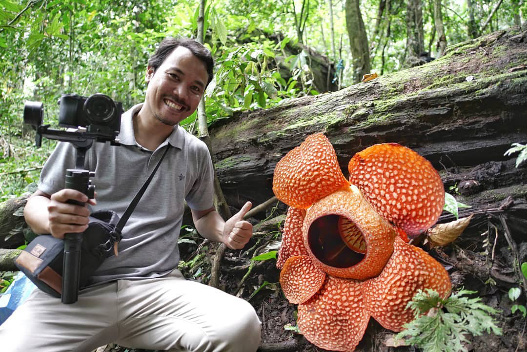 Las flores de formas extrañas hacen que quien las ve no se atreva a creerlo, insistiendo en que se trata de un producto de photoshop - Foto 1.