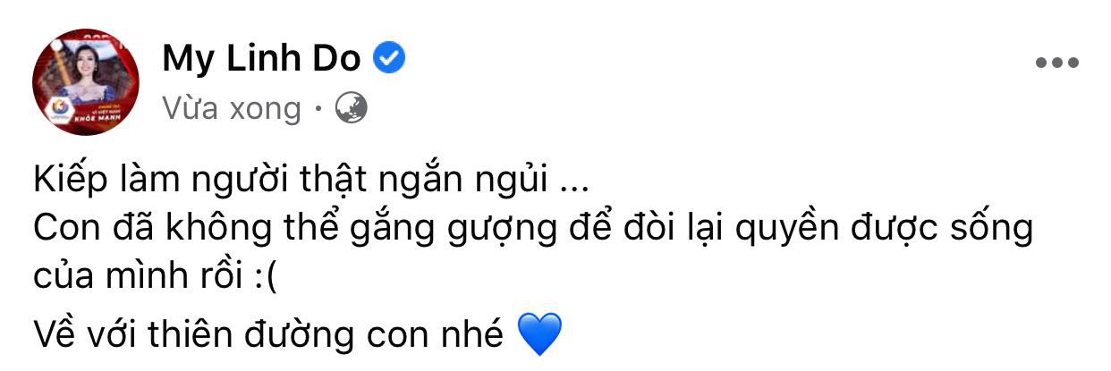 Đỗ Mỹ Linh, Lương Thuỳ Linh xót xa khi hay tin em bé bị bỏ rơi ở hố gas đã qua đời: Về với thiên đường con nhé! - Ảnh 3.