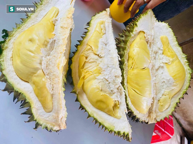 Tìm sầu riêng ngon, người bán hàng chỉ ra một chi tiết bất hợp lý mà ai cũng phải gật gù - Ảnh 3. Tìm sầu riêng ngon, người bán hàng chỉ ra một chi tiết bất hợp lý mà ai cũng phải gật gù - Ảnh 3.