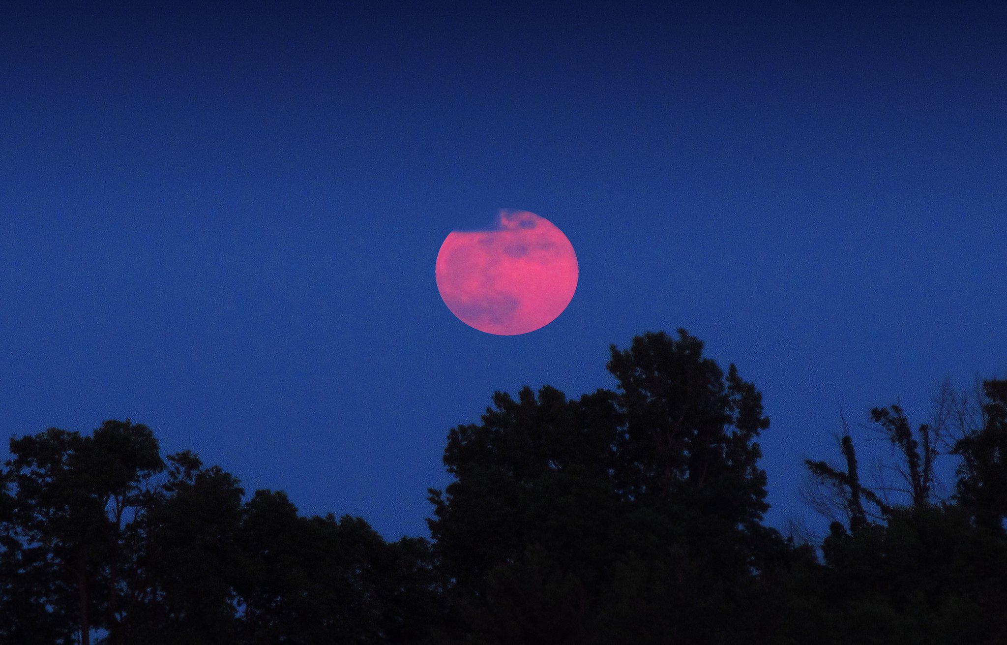 Ngất ngây với một loạt khoảnh khắc về hiện tượng mặt trăng dâu tây hiếm có diễn ra vào đêm qua, rạng sáng nay - Ảnh 6.