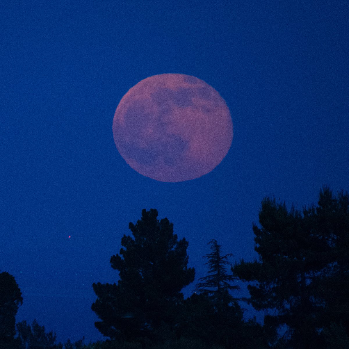 Ngất ngây với một loạt khoảnh khắc về hiện tượng mặt trăng dâu tây hiếm có diễn ra vào đêm qua, rạng sáng nay - Ảnh 9.