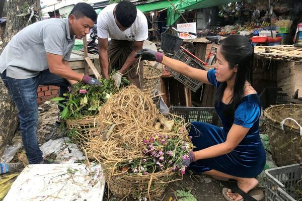 Làm giàu từ rác thực phẩm - Ảnh 1.