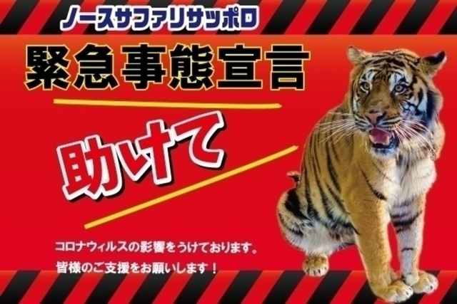 Gặp khó mùa dịch, vườn thú Nhật chuyển hướng bán quần jeans sư tử cào, khuyên tai lông vẹt và nhiều thứ khác nữa - Ảnh 2.