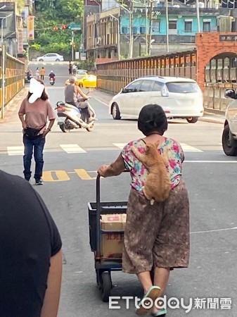 Đoạn video làm “tan chảy” những người yêu mèo: Màn kết hợp đáng yêu giữa bà cụ và chú mèo tạo thành "gánh nặng ngọt ngào" - Ảnh 2. Đoạn video làm “tan chảy” những người yêu mèo: Màn kết hợp đáng yêu giữa bà cụ và chú mèo tạo thành "gánh nặng ngọt ngào" - Ảnh 2.