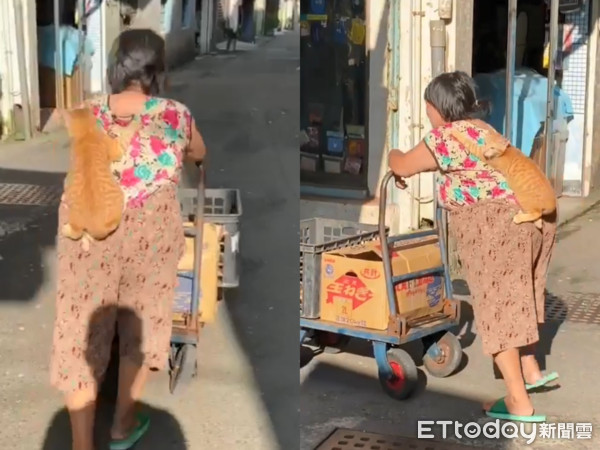 Đoạn video làm “tan chảy” những người yêu mèo: Màn kết hợp đáng yêu giữa bà cụ và chú mèo tạo thành "gánh nặng ngọt ngào" - Ảnh 1. Đoạn video làm “tan chảy” những người yêu mèo: Màn kết hợp đáng yêu giữa bà cụ và chú mèo tạo thành "gánh nặng ngọt ngào" - Ảnh 1.
