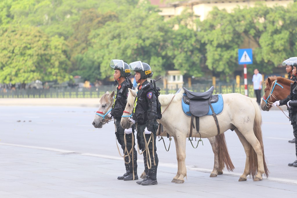 Chùm ảnh: Cận cảnh đoàn Kỵ binh CSCĐ biểu diễn diễu hành trên đường Độc Lập - Ảnh 11.
