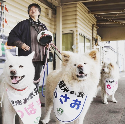 Wasao - chú chó lông dài nổi tiếng, từng là đại sứ du lịch Nhật Bản, trưởng ga tàu đã qua đời ở tuổi 13 - Ảnh 5.